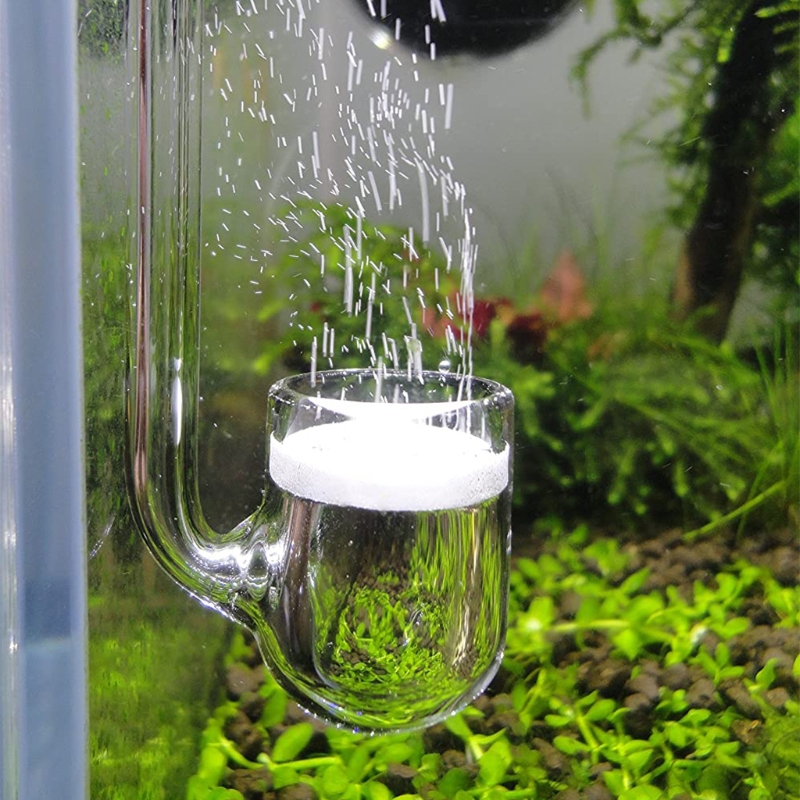Aquarium Liquid Carbon - D0AD Glass CO2 Diffuser for Aquarium,