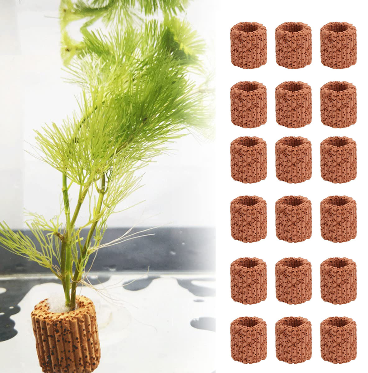 Plant Aquarium Pot - 10/20Pcs Aquatic Water Plant Fixed Ring