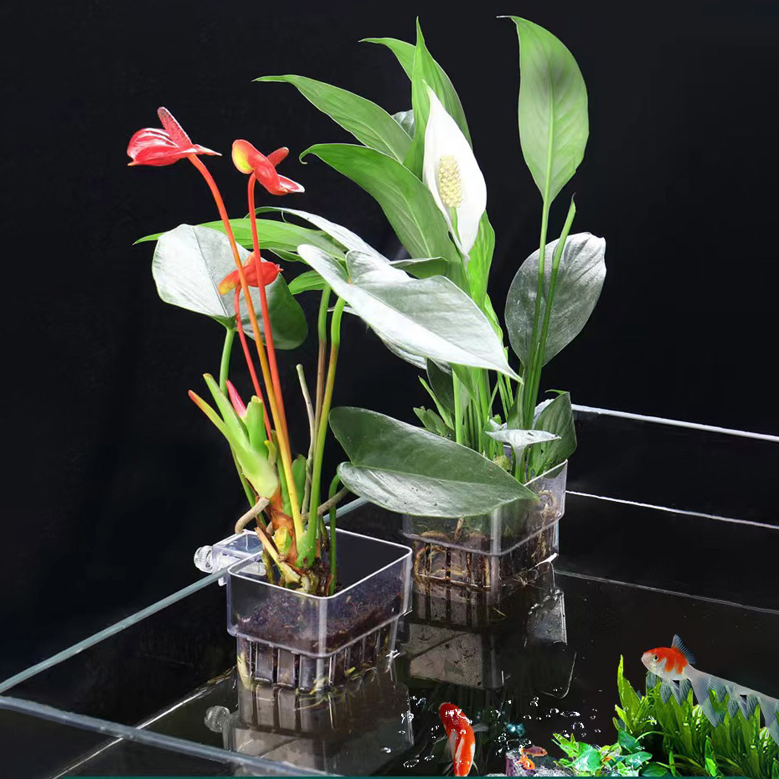 Aquarium Plant Holder - Clear Acrylic Plant Holder Hydroponic Planting