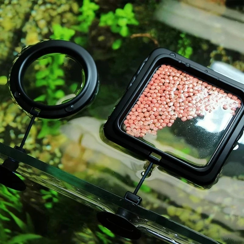 Aquarium Fertilizer - 1/3pcs Aquarium Fish Feeding Ring Fish
