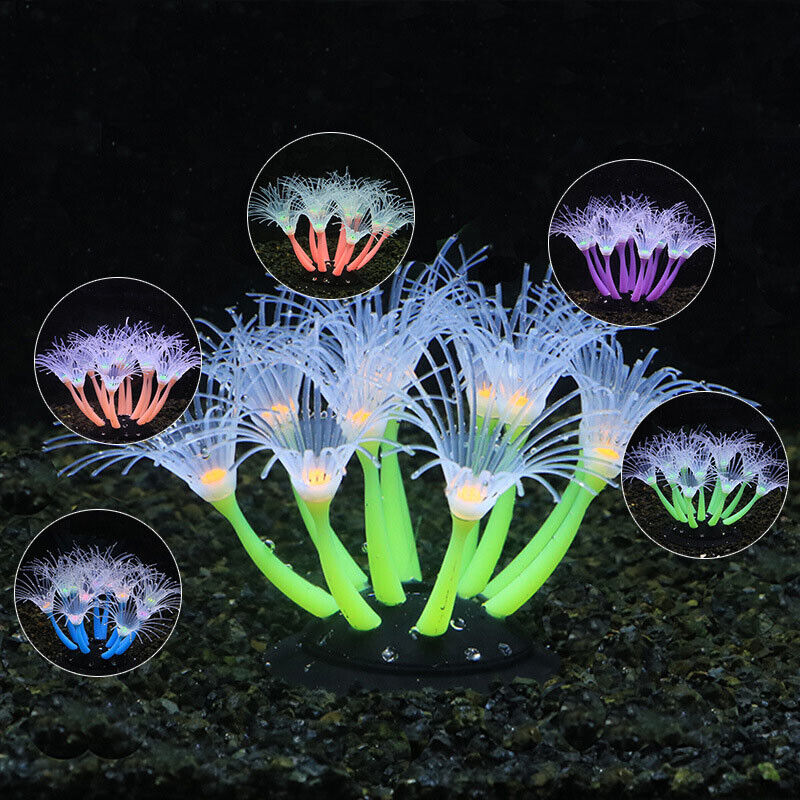Silicone Glowing Landscape Art - Live Plant Aquarium recension och pris