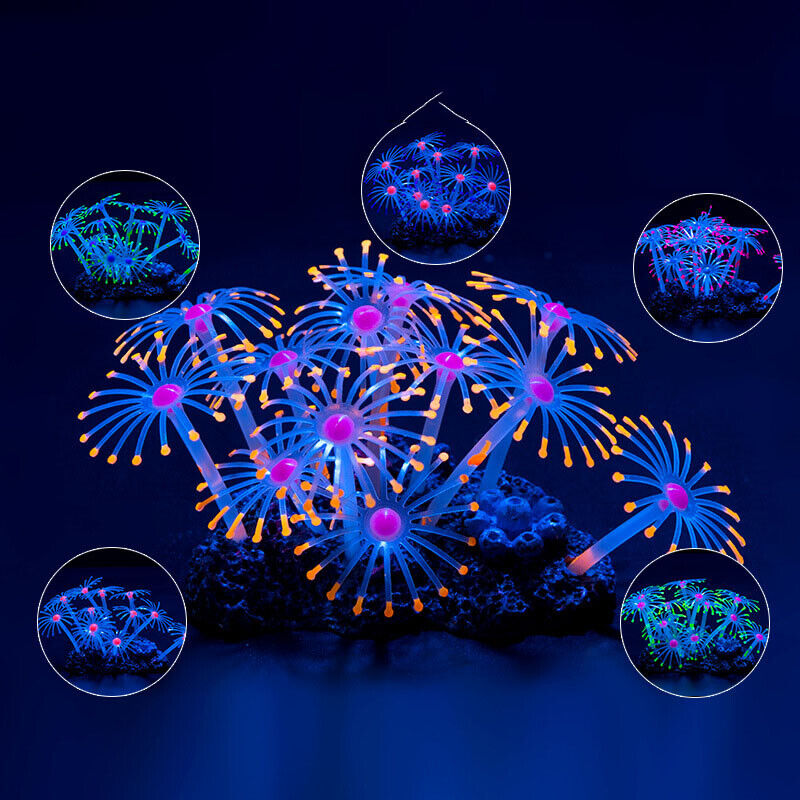 Silicone Glowing Landscape Art - Live Plant Aquarium recension och pris
