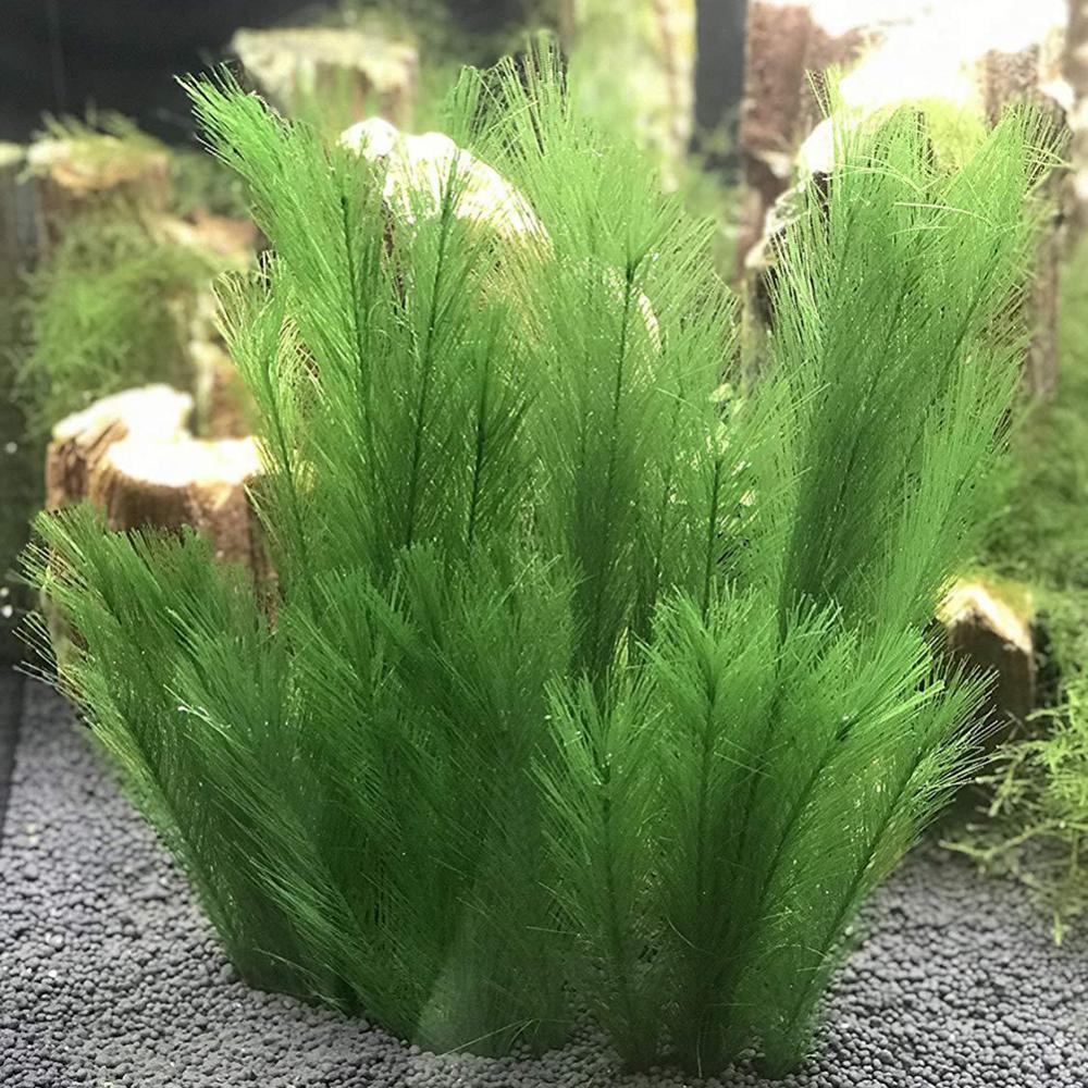 1/3Pcs 28/40cm Aquarium Fish T - Live Plant Aquarium recension och pris