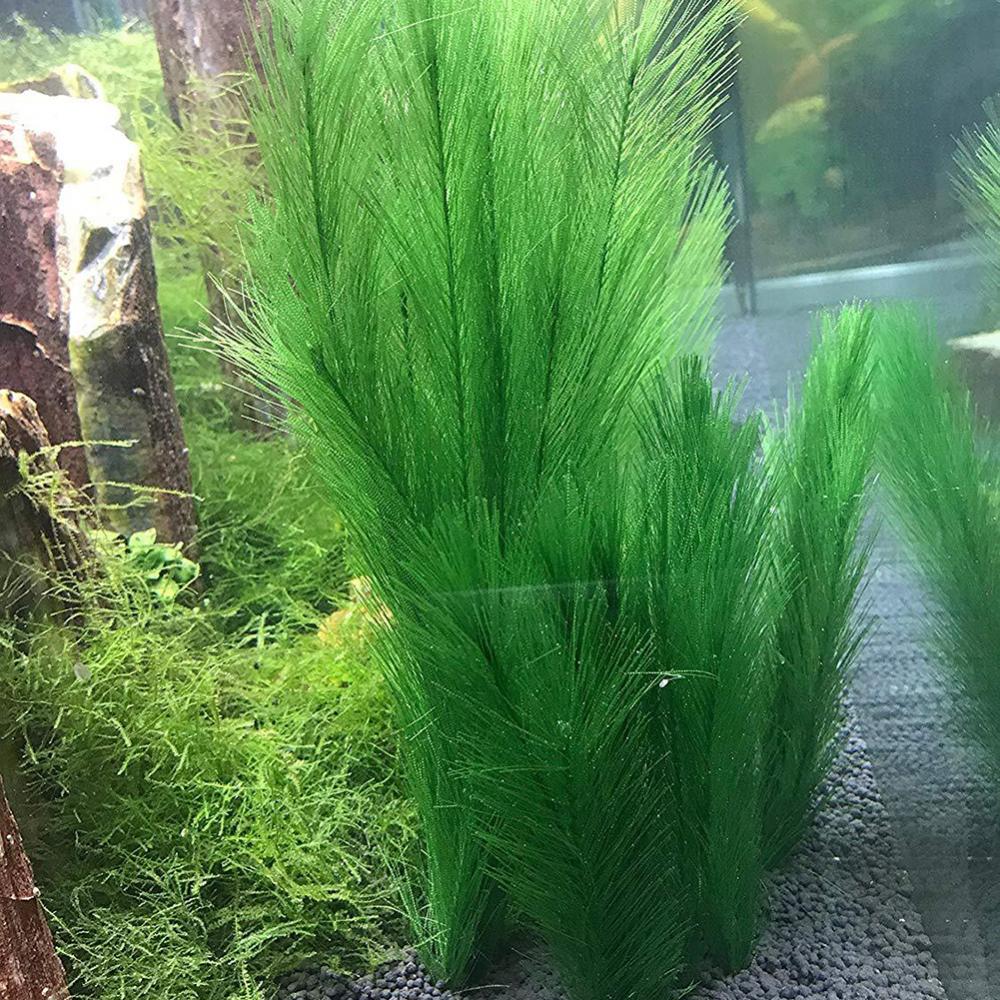 1/3Pcs 28/40cm Aquarium Fish T - Live Plant Aquarium recension och pris