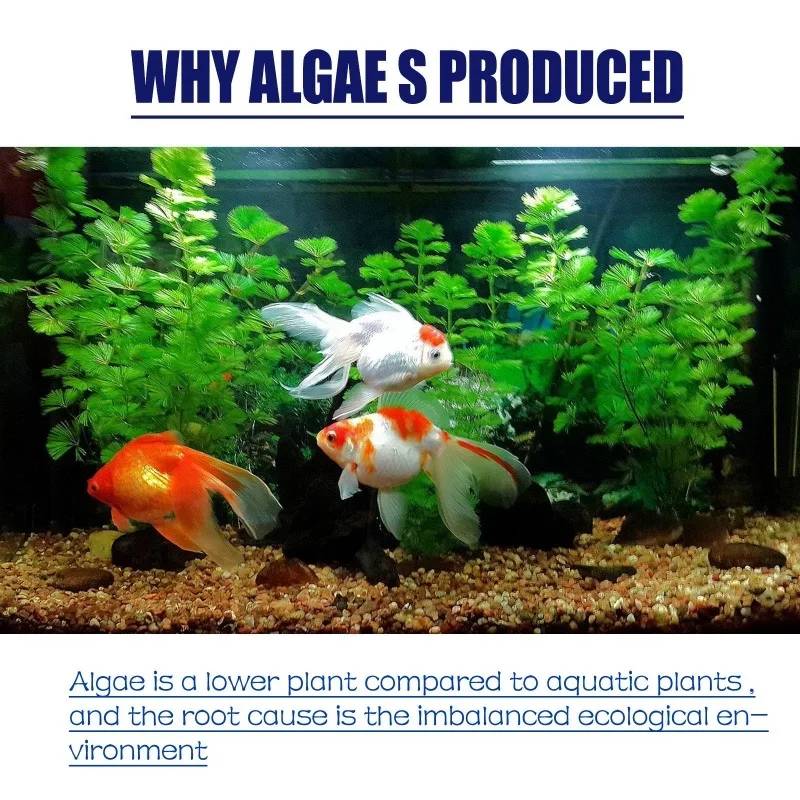 50g High Efficiency Algaecide  - Aquarium Moss recension och pris