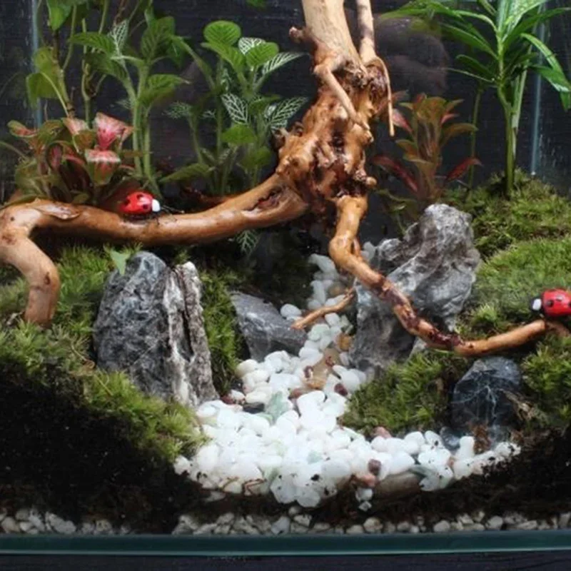 Natural Tree Trunk Driftwood A - Aquarium Driftwood recension och pris