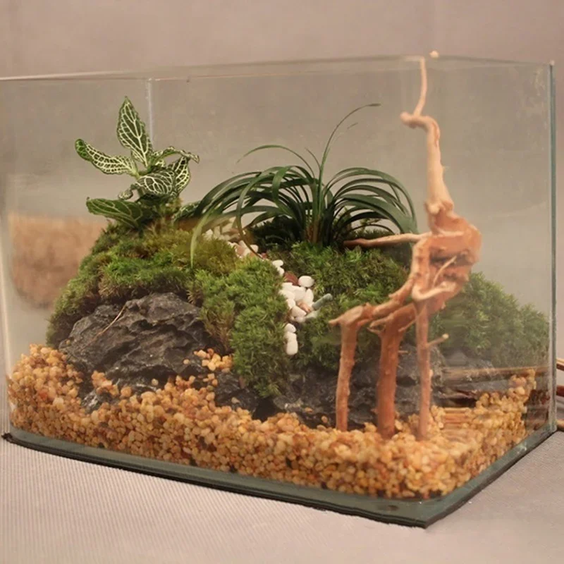 Natural Tree Trunk Driftwood A - Aquarium Driftwood recension och pris