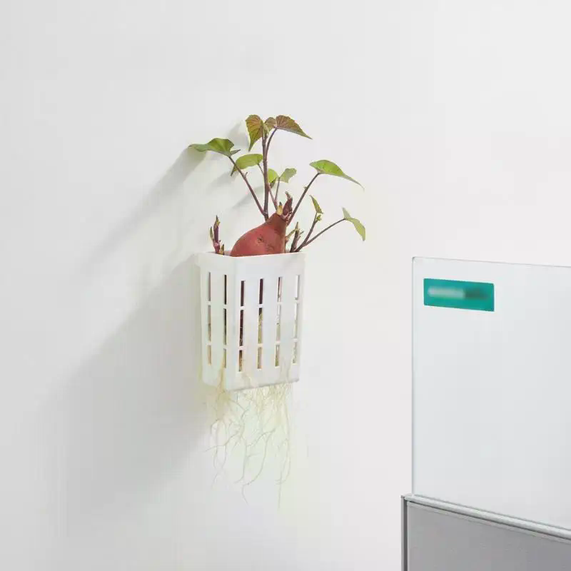 1Pcs Hydroponic Support Basket - Aquarium Plant Holder recension och pris
