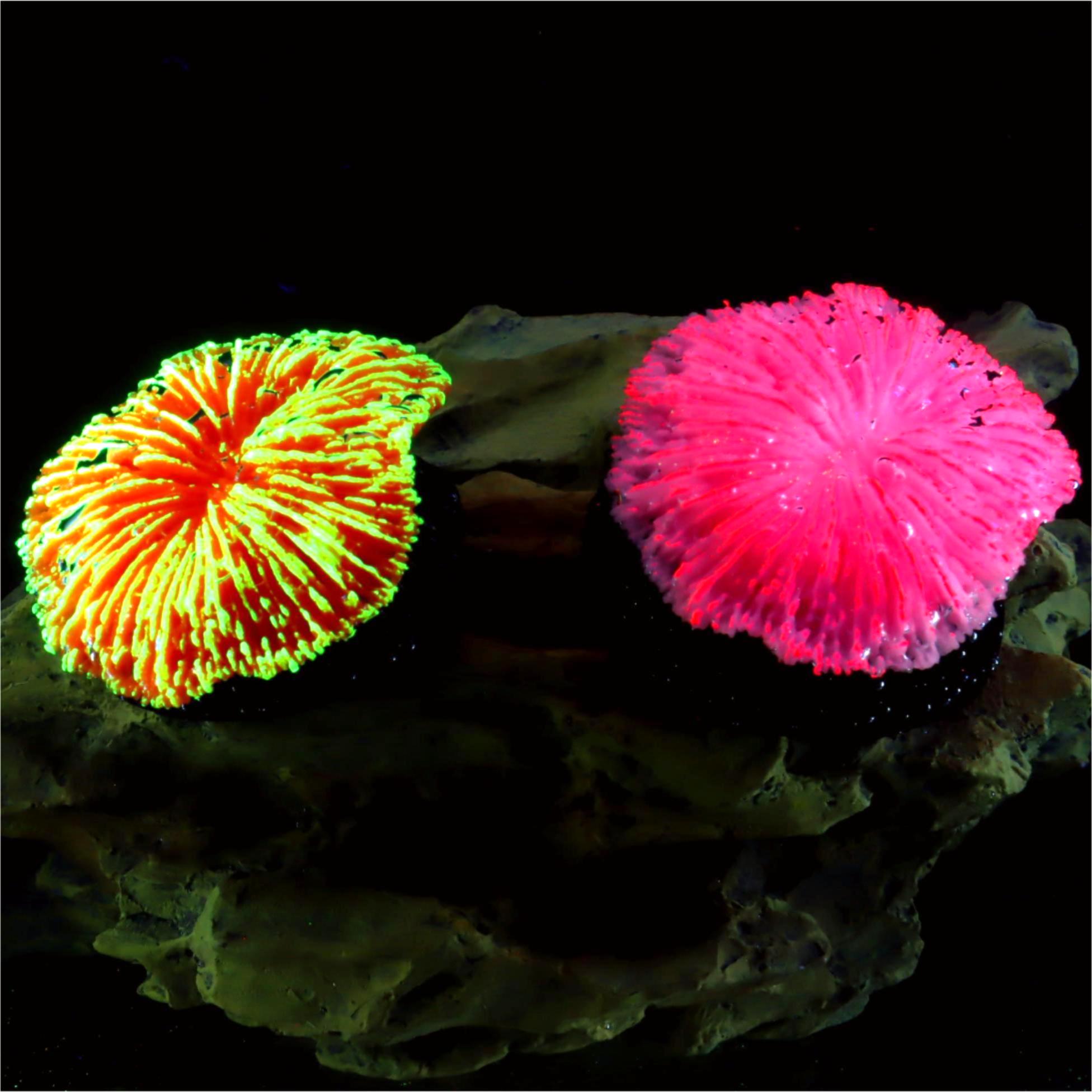 1 Piece Aquarium Decoration Sa - Live Plant Aquarium recension och pris