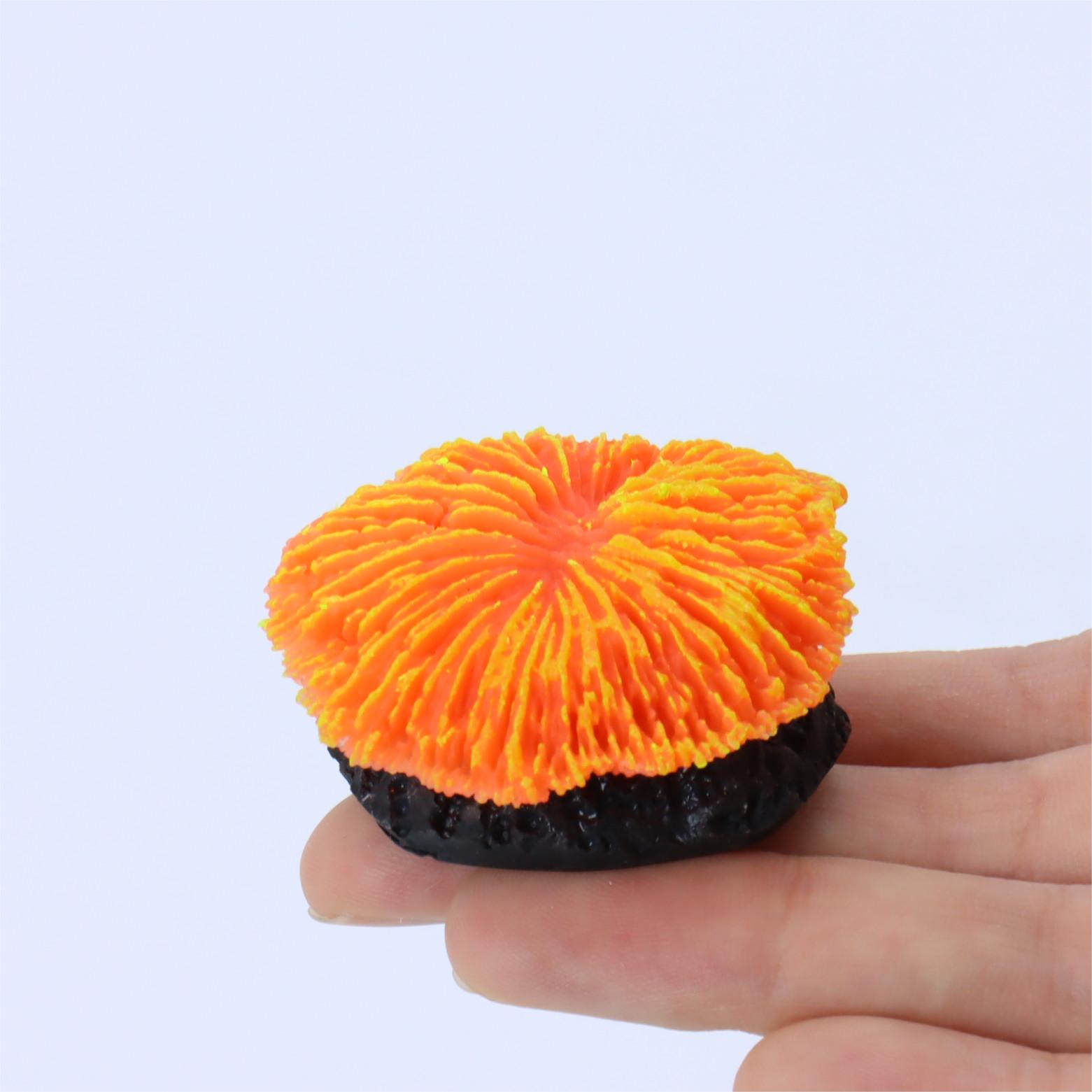 1 Piece Aquarium Decoration Sa - Live Plant Aquarium recension och pris