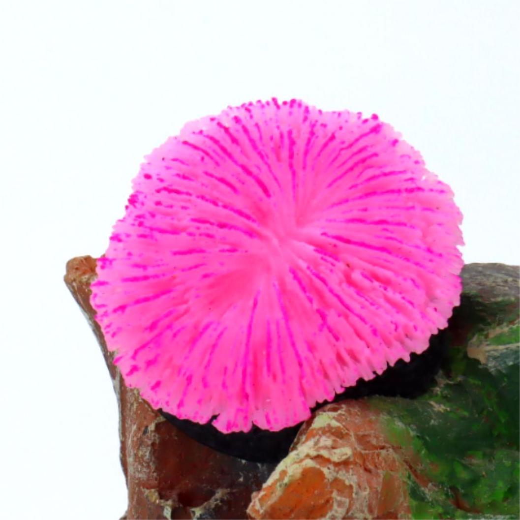 1 Piece Aquarium Decoration Sa - Live Plant Aquarium recension och pris