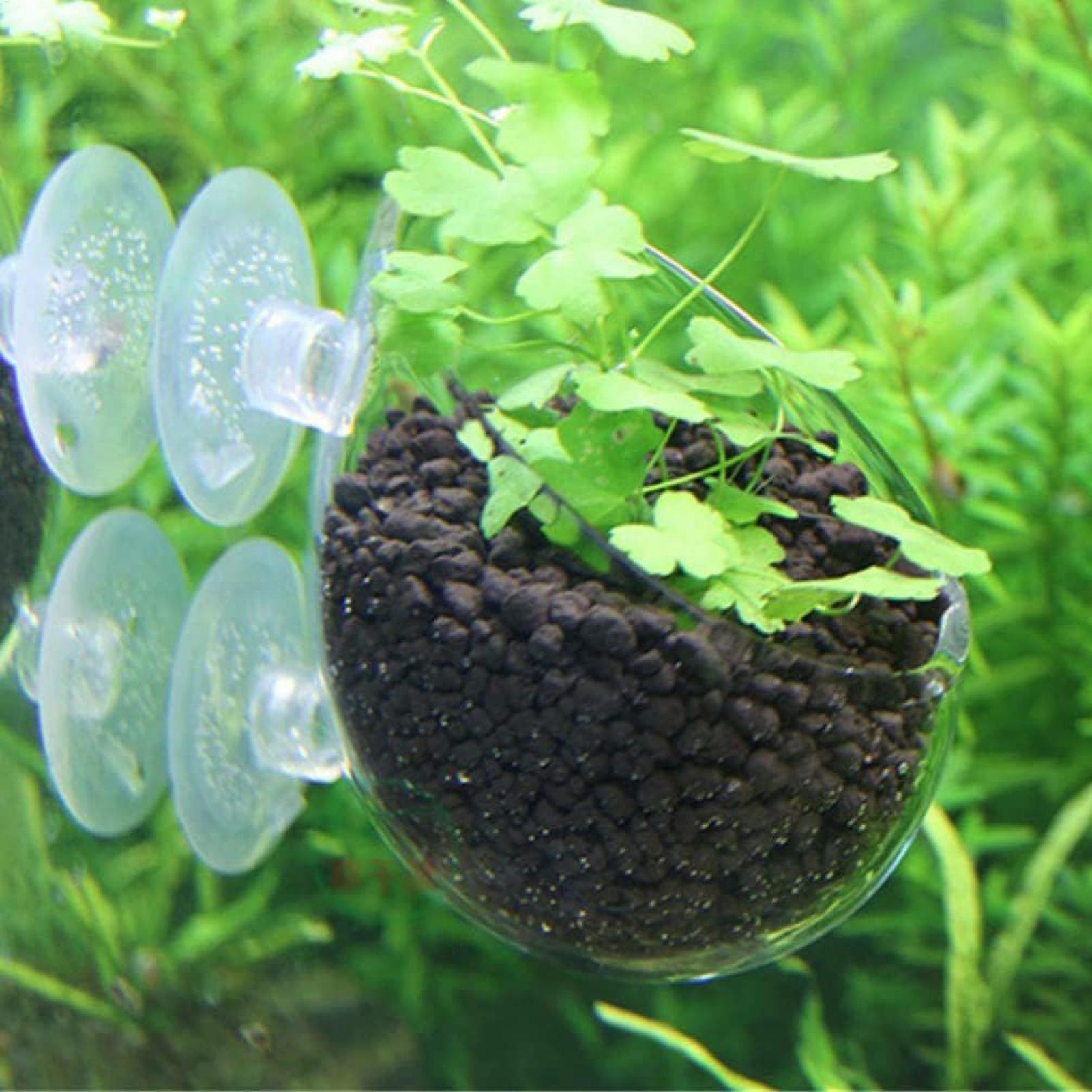 Aquarium Plant Holder Glass Aq - Live Plant Aquarium recension och pris