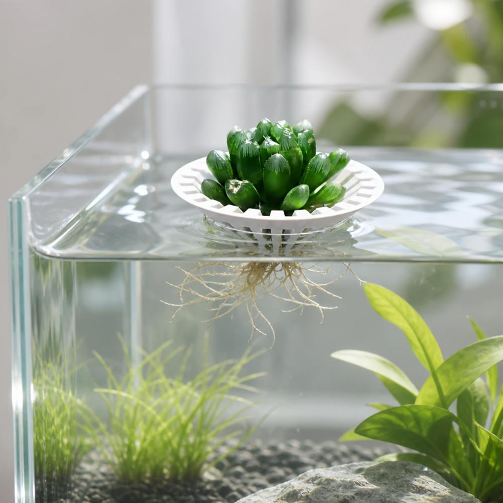 Aquarium Hydroponic Planter 3d - Aquarium Plant Holder recension och pris