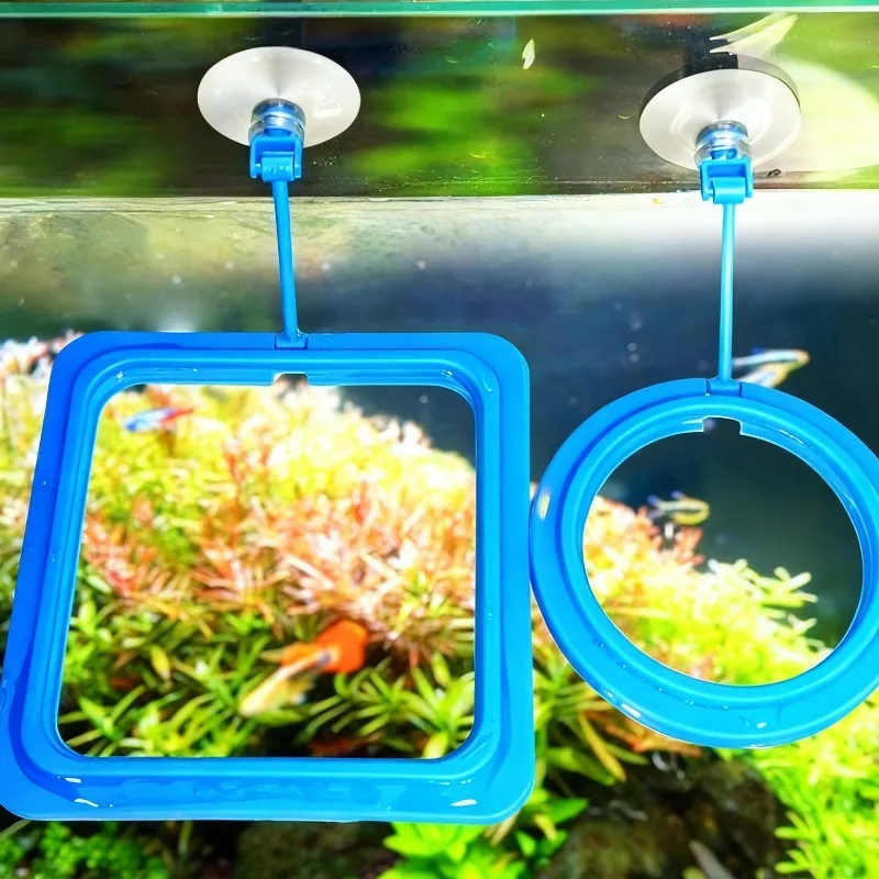 Aquarium Feeding Ring Fish Tan - Aquarium Fertilizer recension och pris