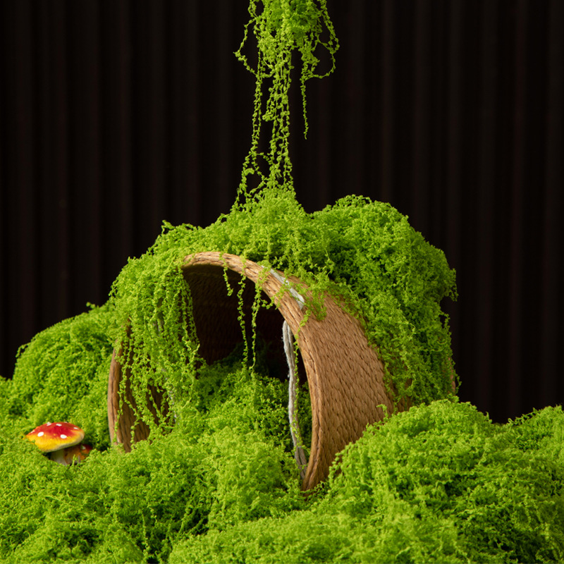 200g Eternal Life Moss DIY Cra - Aquarium Moss recension och pris