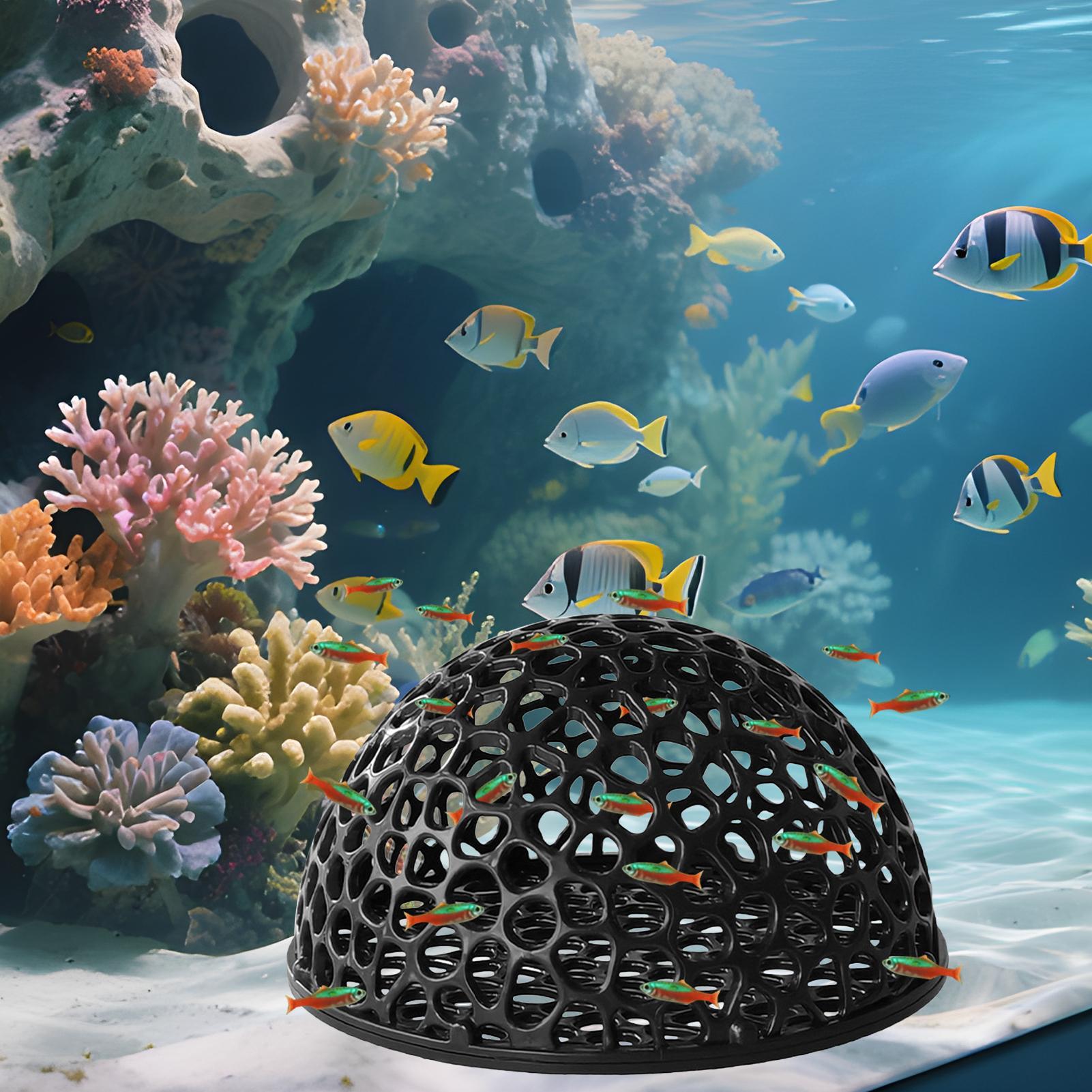 Aquarium Hiden Cave Shelter fo - Aquarium Plants Live recension och pris