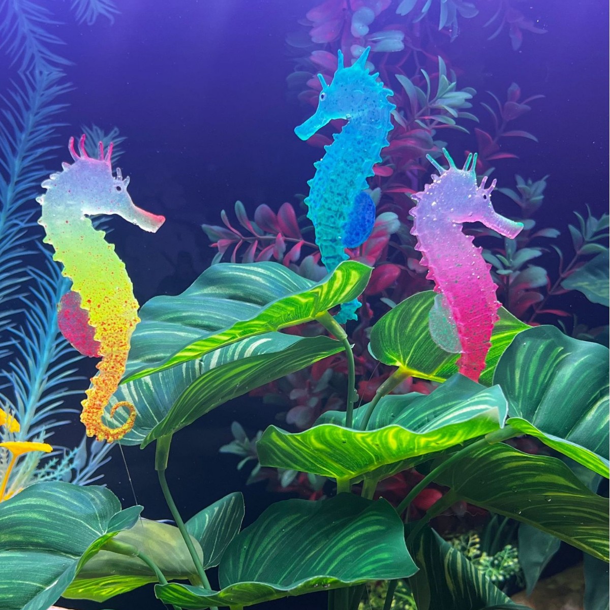 Simulated Luminous Seahorse Fi - Aquarium Plant Substrate recension och pris