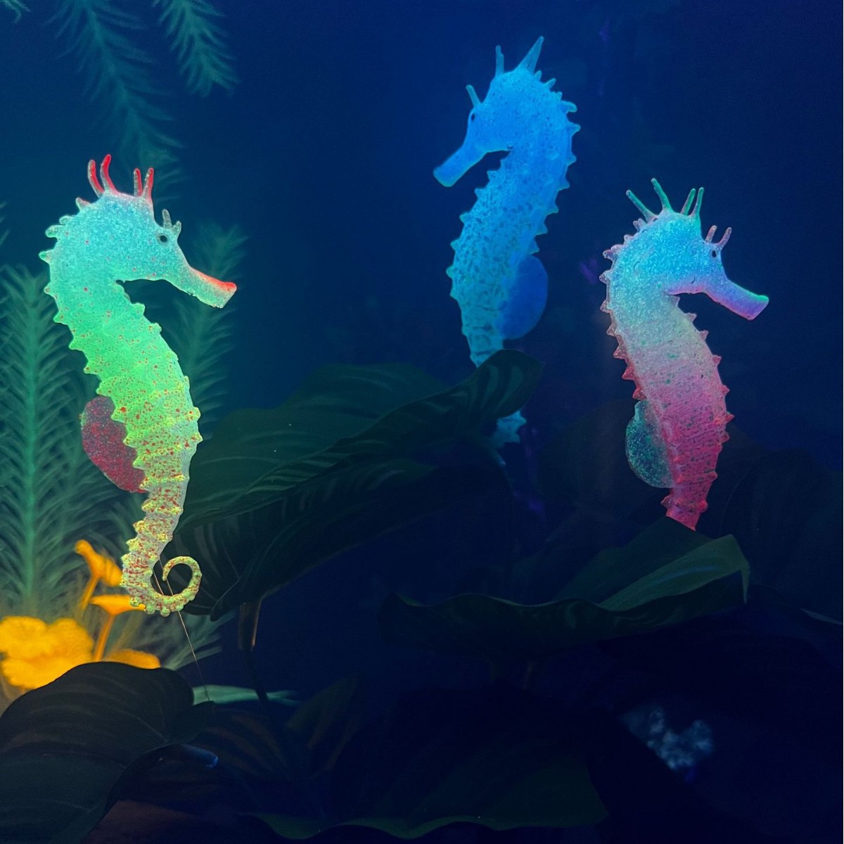 Simulated Luminous Seahorse Fi - Aquarium Plant Substrate recension och pris