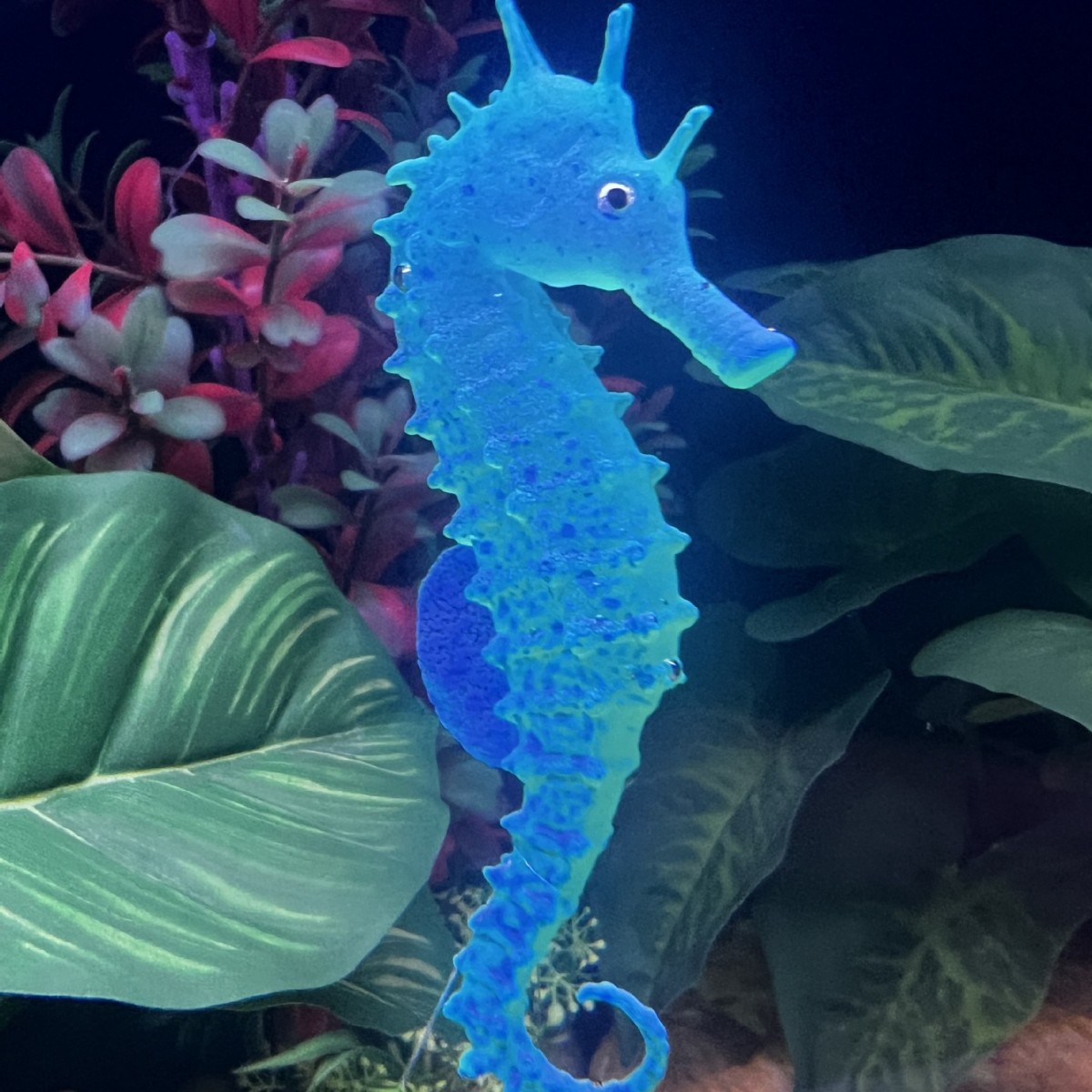 Simulated Luminous Seahorse Fi - Aquarium Plant Substrate recension och pris