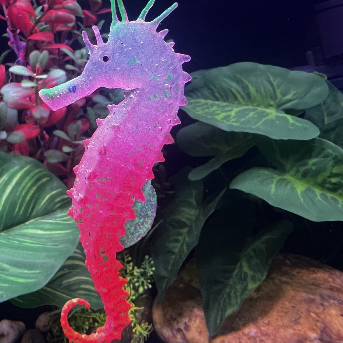 Simulated Luminous Seahorse Fi - Aquarium Plant Substrate recension och pris