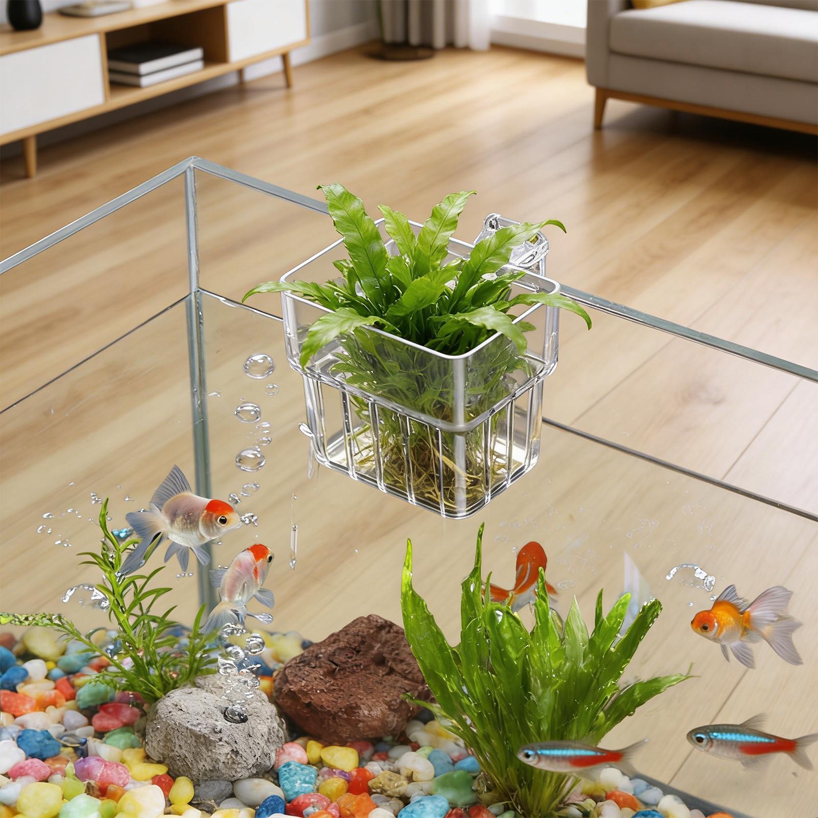 Fish Tank Fixed Basket Wall mo - Aquarium Plants Live recension och pris