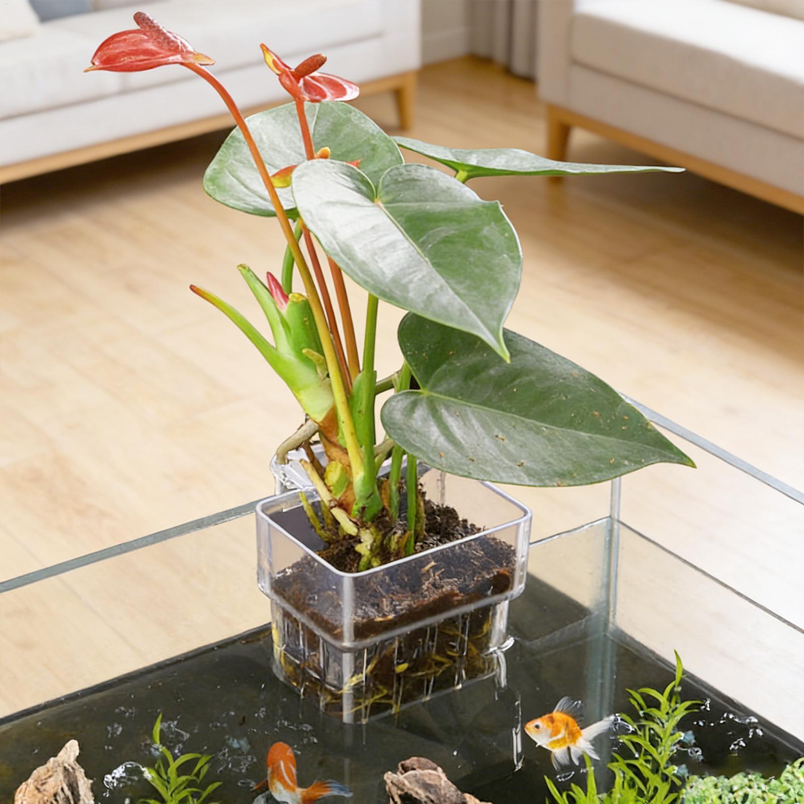 Fish Tank Fixed Basket Wall mo - Aquarium Plants Live recension och pris