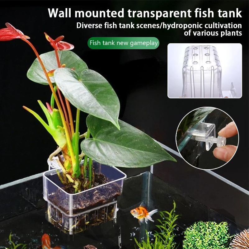 Aquarium Hanging Planter Cups  - Plant Aquarium Pot recension och pris