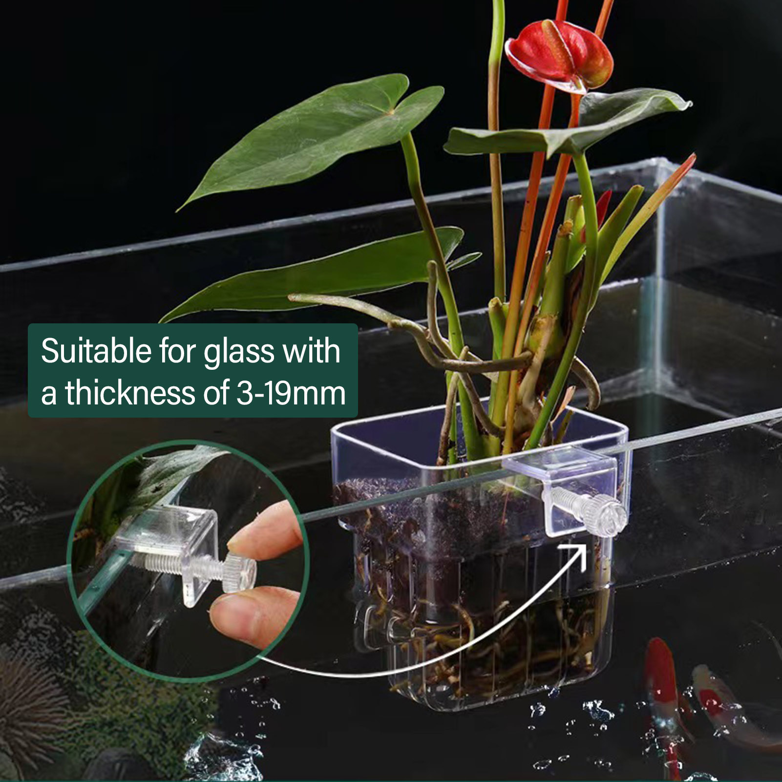 Clear Acrylic Plant Holder Hyd - Aquarium Plant Holder recension och pris