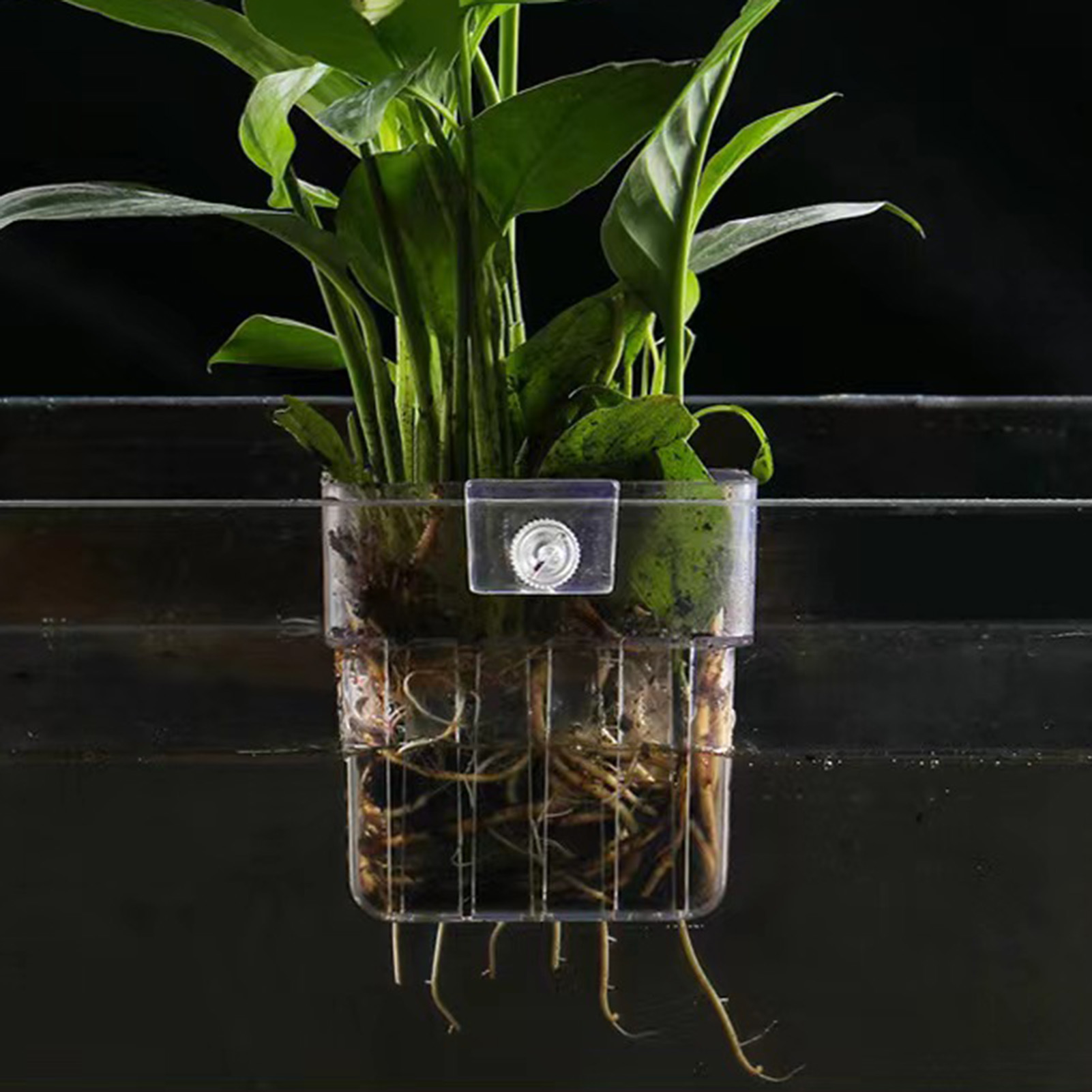 Clear Acrylic Plant Holder Hyd - Aquarium Plant Holder recension och pris