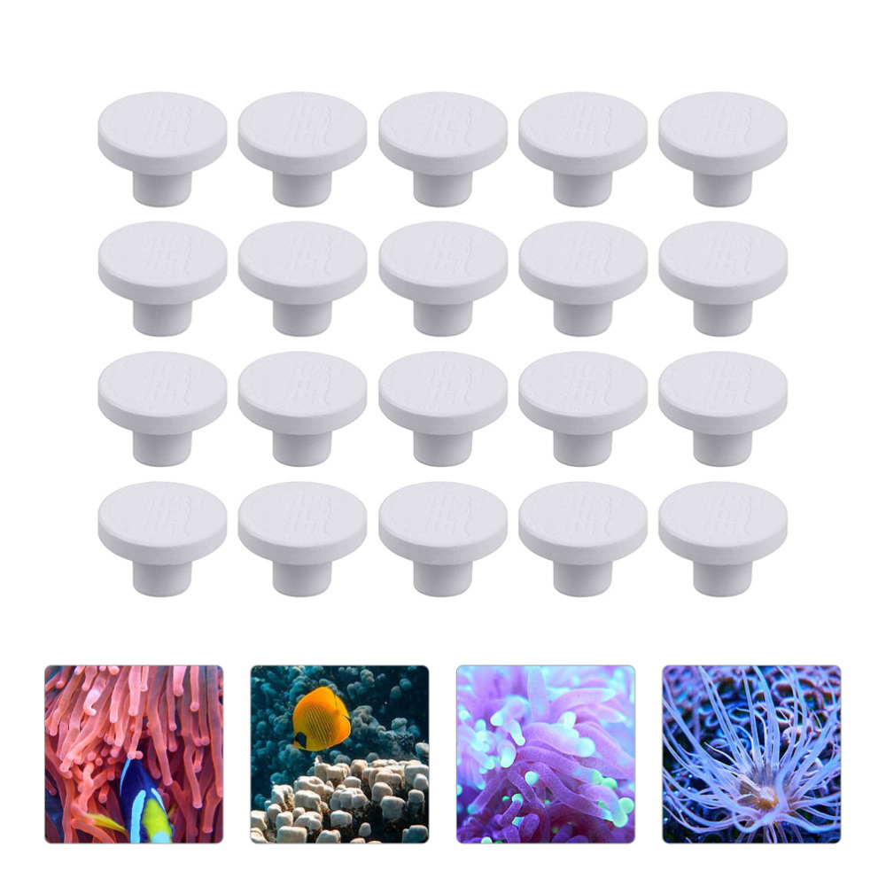 SPS Ceramic Coral Frag Plugs B - Aquarium Plants Live recension och pris