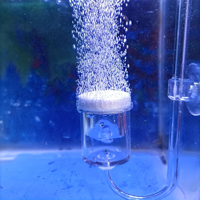 Aquarium Glass CO2 Atomizer Di - Aquarium Liquid Carbon recension och pris