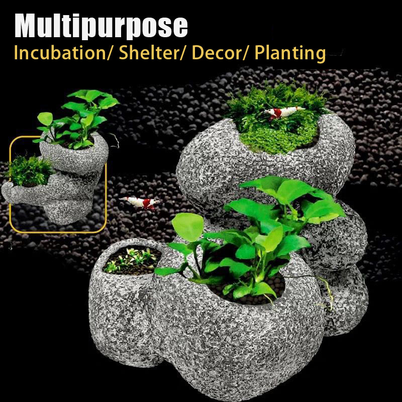 Fish Shrimp Incubation Shelter - Plant Aquarium Pot recension och pris