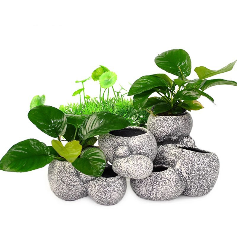 Fish Shrimp Incubation Shelter - Plant Aquarium Pot recension och pris