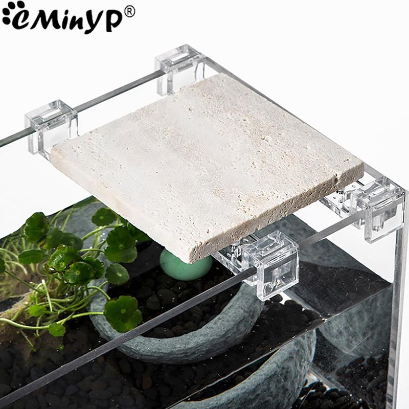 4Pcs Fish Tank Acrylic Clips f - Aquarium Plant Holder recension och pris