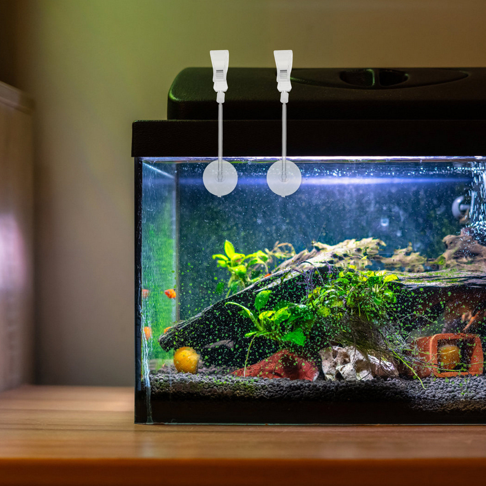 3 pcs Aquarium Fish Tank Hallo - Aquarium Plant Holder recension och pris