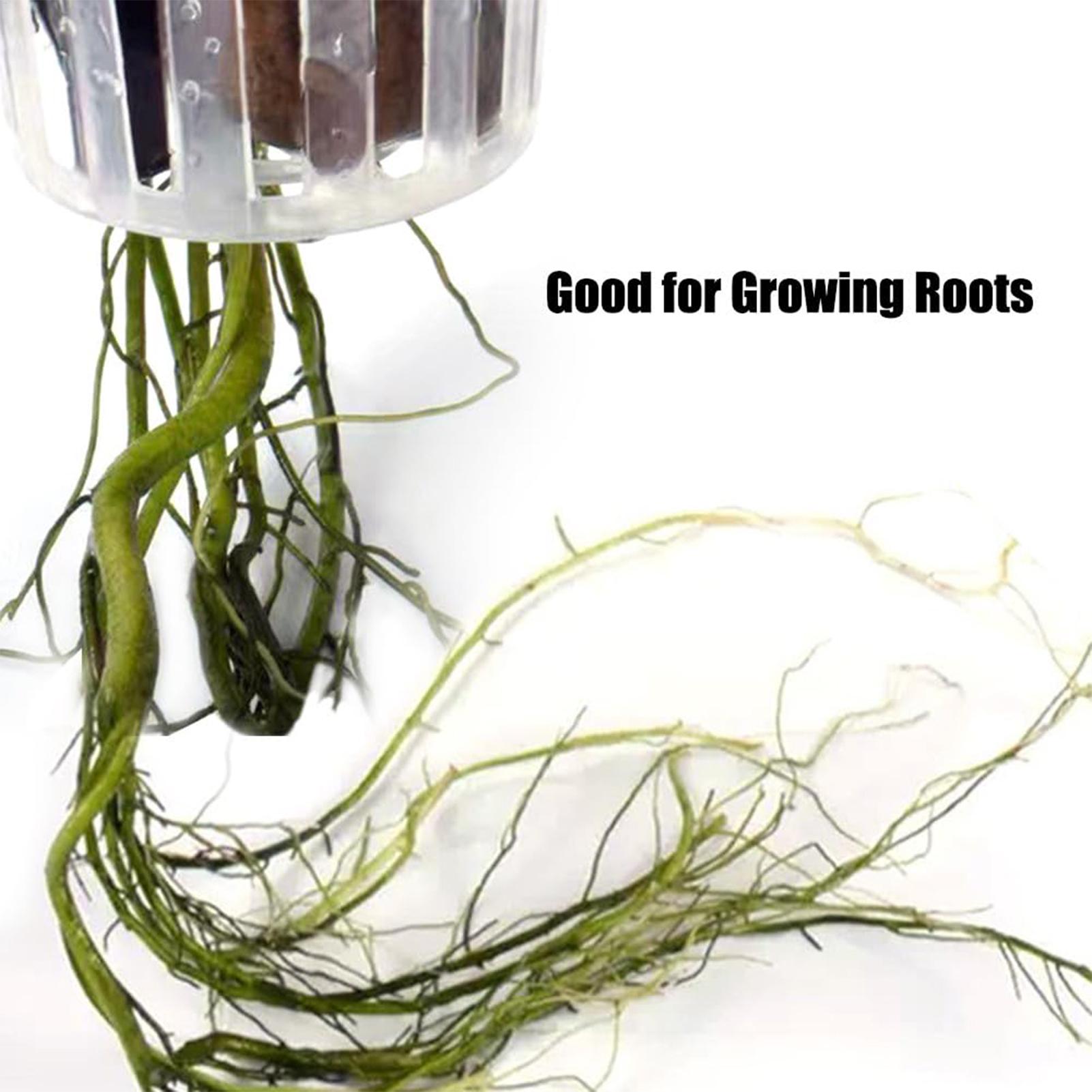 2PCS Hangable Aquatic Plant Ho - Aquarium Plant Holder recension och pris