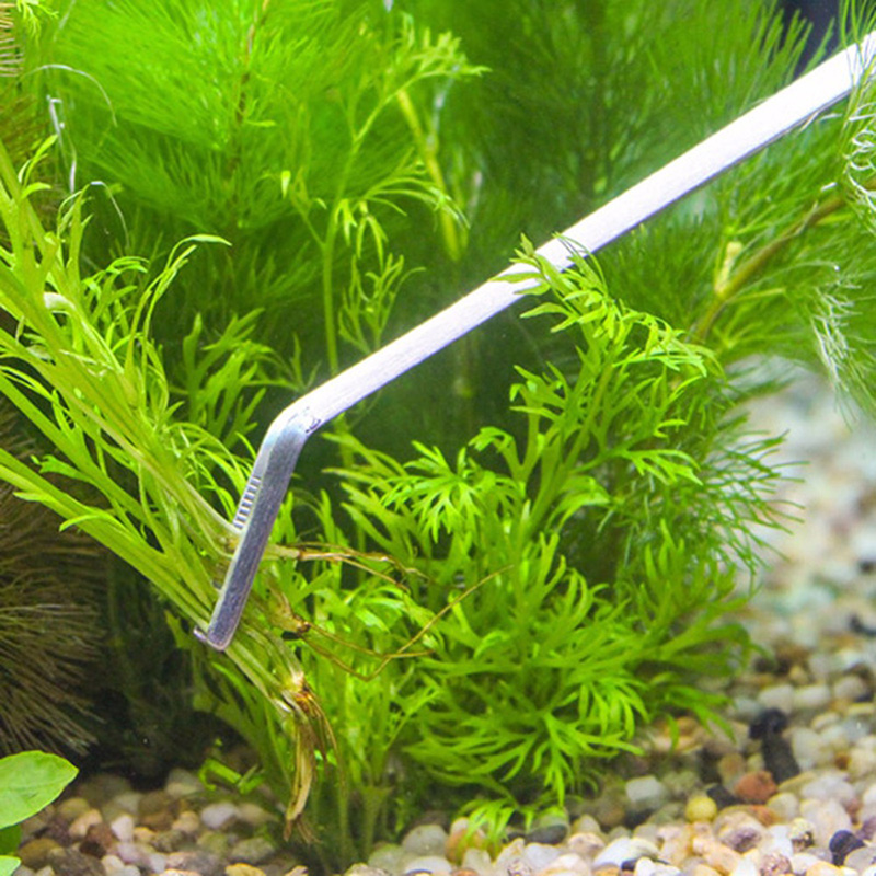 Professional Aquarium Maintena - Live Plant Aquarium recension och pris