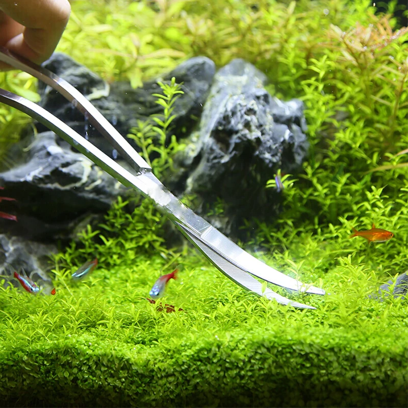Aquarium Scissor Tools Fish Ta - Aquarium Plant Holder recension och pris