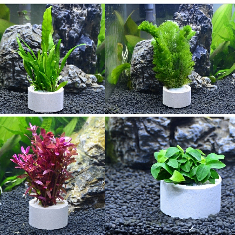 Aquarium Decoration Ceramic Ri - Plant Aquarium Pot recension och pris
