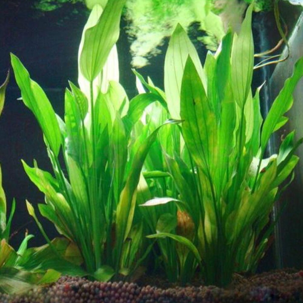 15cm Artificial Aquarium Decor - Live Plant Aquarium recension och pris