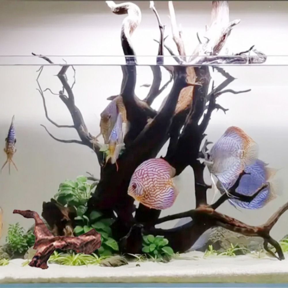 Creative Irregular Shape Coral - Aquarium Driftwood recension och pris