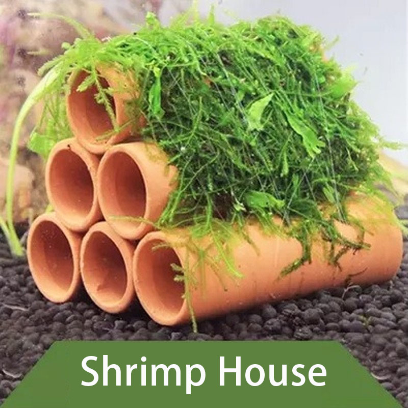 Clay Aquarium Decoration Fish  - Aquarium Plants Live recension och pris