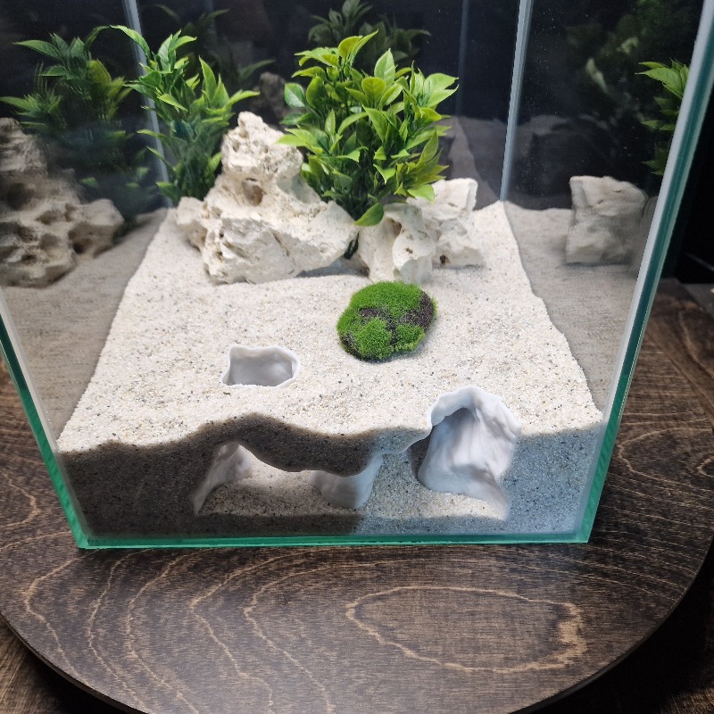 Premium 3D Print ShoreSand Aqu - Aquarium Plants Live recension och pris
