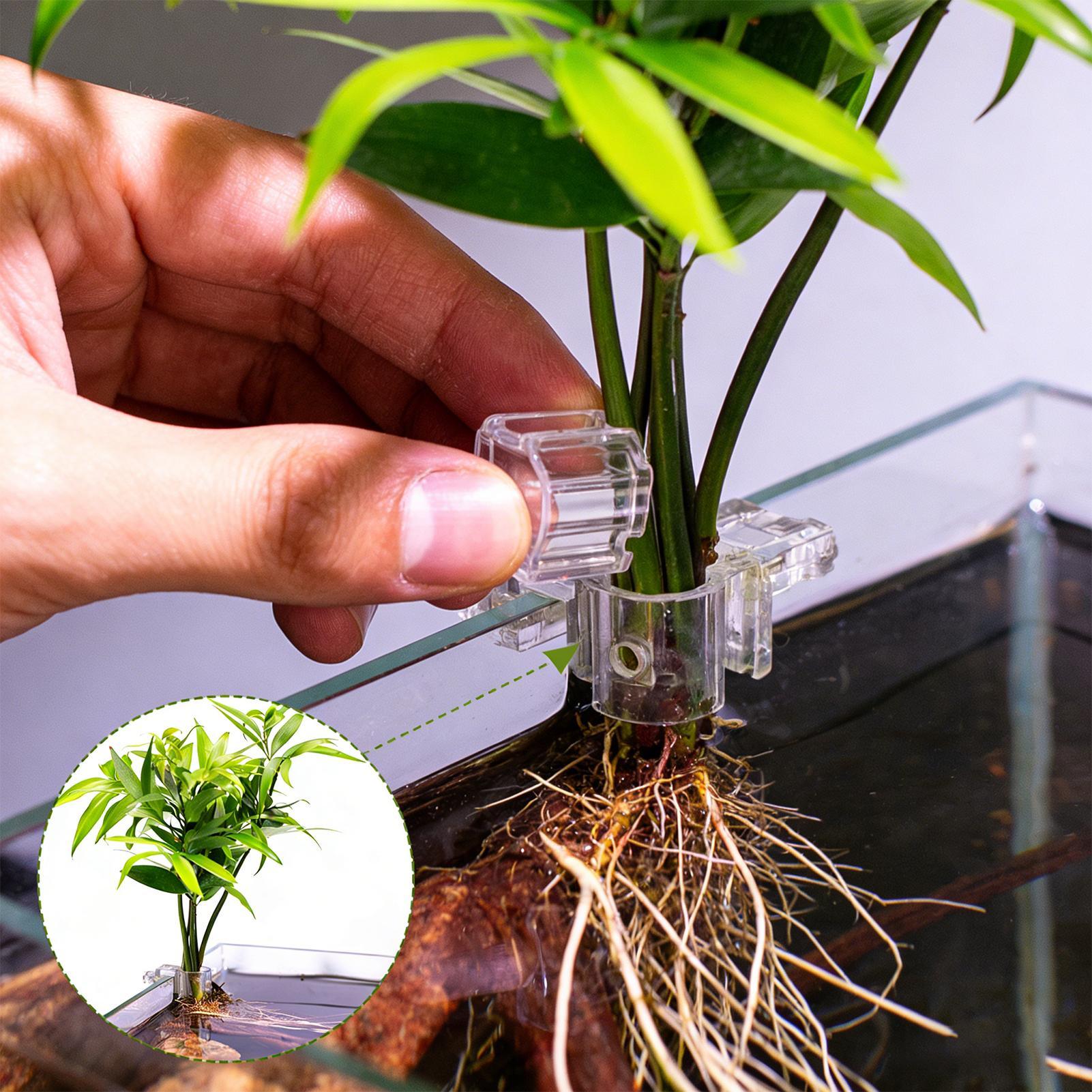 6pcs Aquarium Plant Holders Cl - Aquarium Plant Holder recension och pris