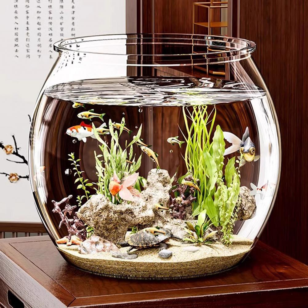 Clear Plastic round Fish Bowl  - Plant Aquarium Pot recension och pris