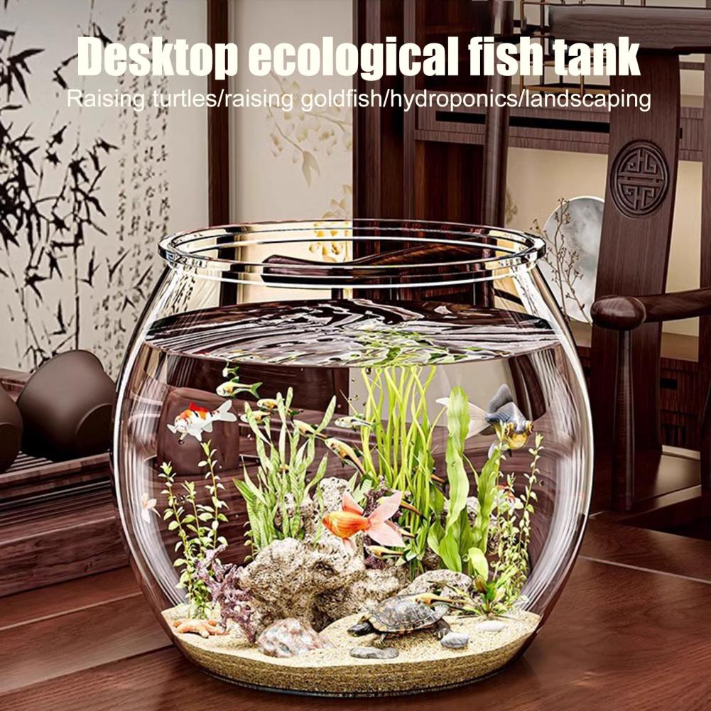 Clear Plastic round Fish Bowl  - Plant Aquarium Pot recension och pris