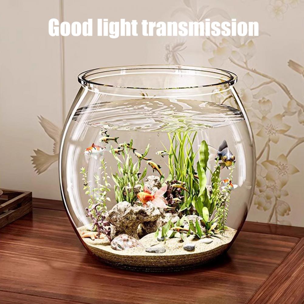 Clear Plastic round Fish Bowl  - Plant Aquarium Pot recension och pris