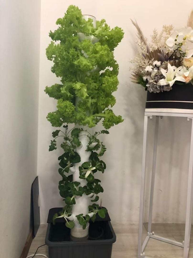 Vertical Hydroponic Grow Tower - Planted Tank recension och pris