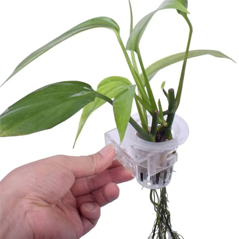 A7THK-2Pcs Transparent Hanging - Aquarium Plant Holder recension och pris
