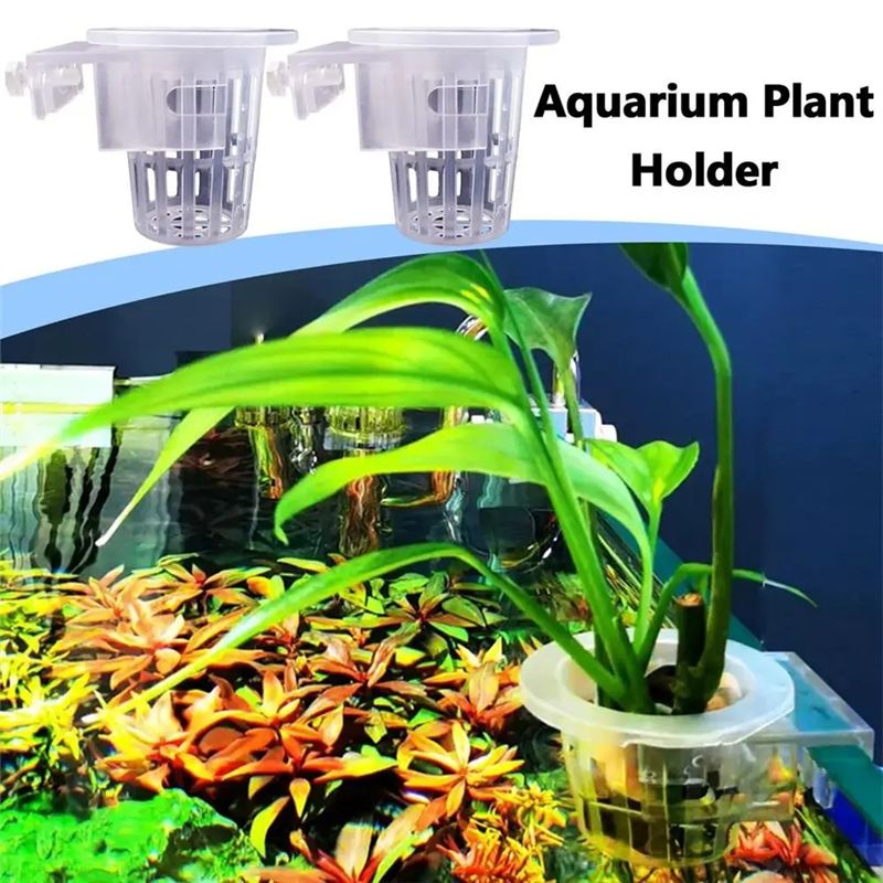 A7THK-2Pcs Transparent Hanging - Aquarium Plant Holder recension och pris